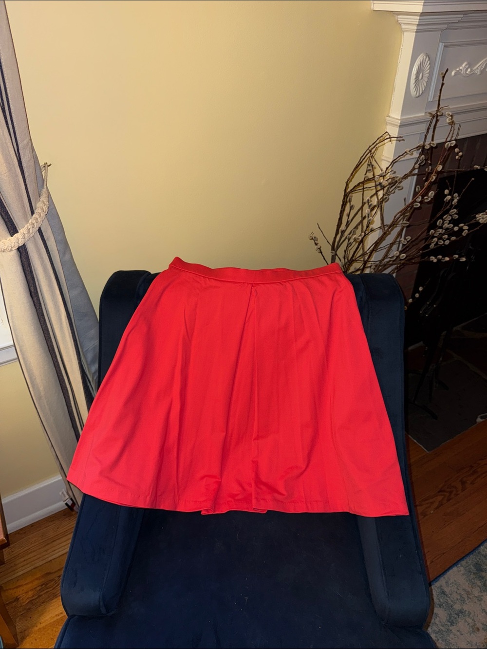 Adrienne Vittadini Salmon Circle Skirt